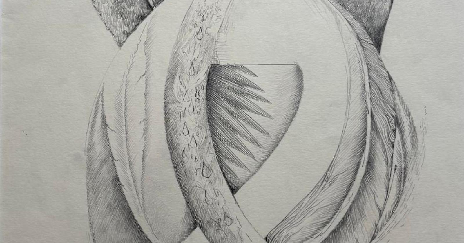 Il Volo, la Carne, L'Invisibile 