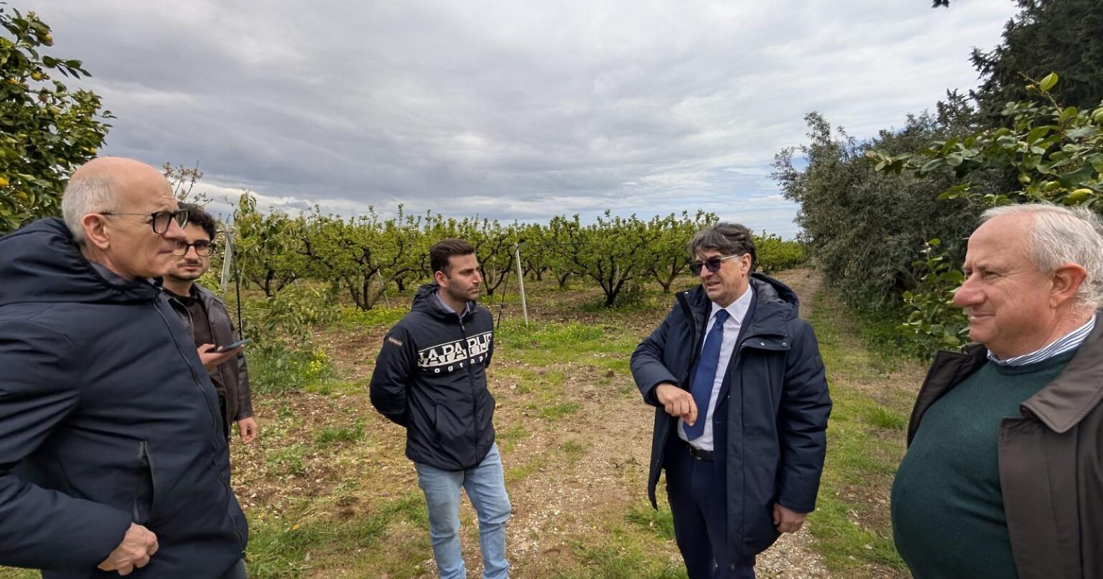 Maltempo nel Metapontino, Cicala sul posto: &ldquo;Attivati tutti gli strumenti per aiutare le aziende&rdquo;