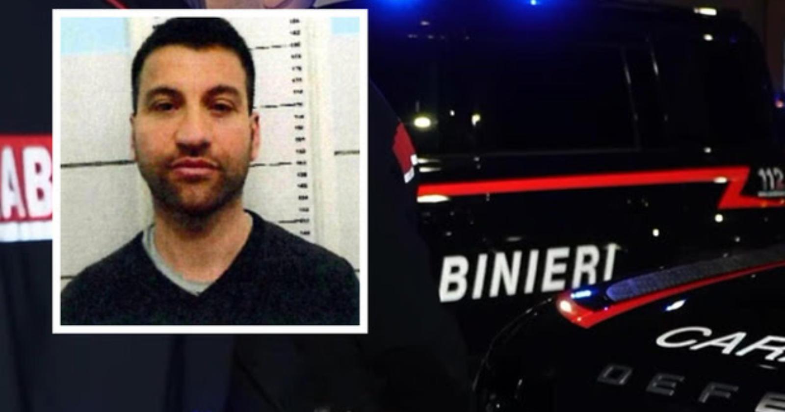 La logica gelida e il miraggio della colomba pasquale 