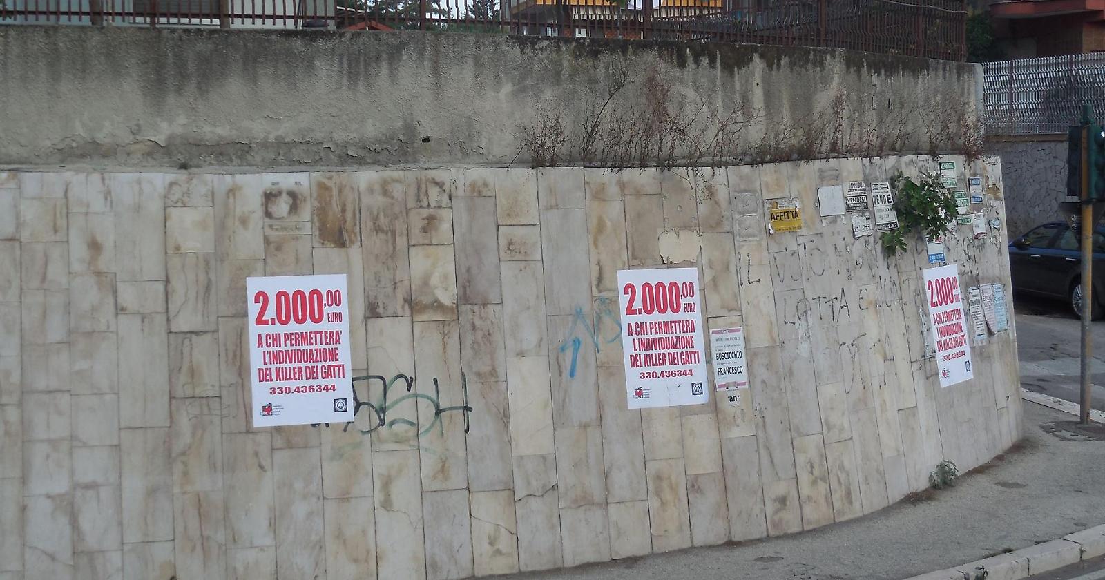 Anche Baccini, questa sera a Foggia, per denunciare la strage dei gatti in via Stame