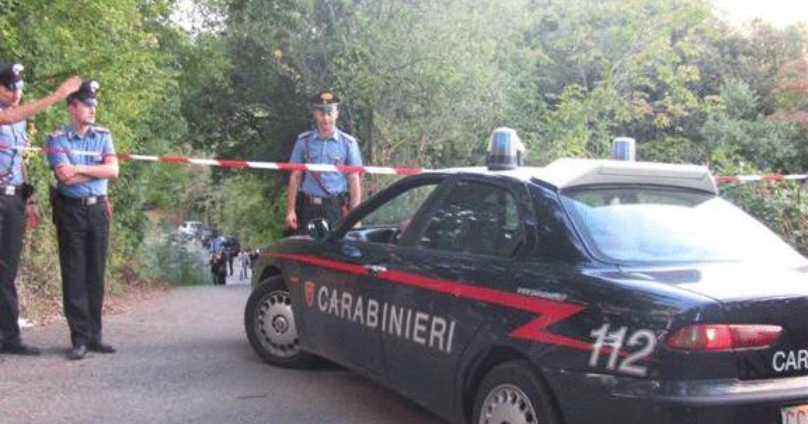 immagini dal web