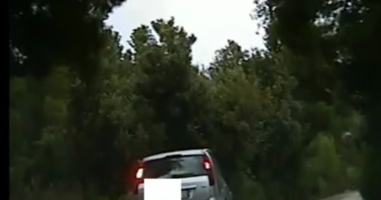 Piromane incastrato dalle telecamere piazzate nel bosco: denunciato