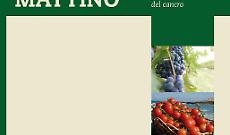 Le luci del mattino