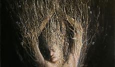 All&rsquo;ombra del Cipresso&hellip; ecco perch&eacute; &egrave; l'albero dei defunti