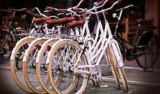 Passeggiando in bicicletta