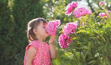 Prendersi cura della vita per onorare chi &egrave; morto