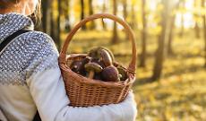 Si possono mangiare i funghi crudi?