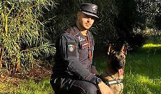 Esche avvelenate per gli animali in Basilicata, il pastore Fenrir fiuta la trappola inviata a Foggia per le analisi