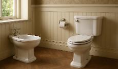 Tavolette WC, rotelle doccia e cartucce: come scegliere i ricambi bagno