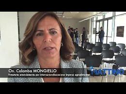 Mongiello: «Il mio impegno per far conoscere il nostro agroalimentare nel mondo»