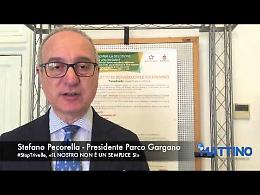 StopTrivelle, Pecorella: «Il nostro non è un semplice SI»