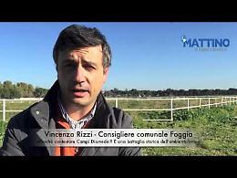 Rizzi: «Perché contestare Campi Diomedei?»
