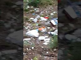 Vergognosa discarica a cielo aperto nel bosco San Matteo del Parco del Gargano