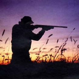 Al Wwf non va giù la proroga per la caccia alla beccaccia. L'associazione ambientalista si scaglia contro la Regione Basilicata