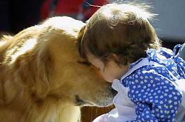 Gli animali curano: provare per credere!