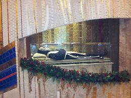 "Il volto di Padre Pio è quello di Gesù Cristo"