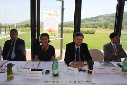 L'asparago tira: in provincia di Foggia abbiamo un terzo della produzione italiana