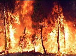 Incendi boschivi, in Prefettura a Potenza una riunione sulla prevenzione