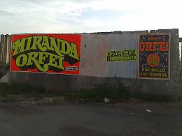 Presidio animalista del circo Miranda-Orfei a Foggia: «Sfrutta gli animali, Mongelli intervenga»