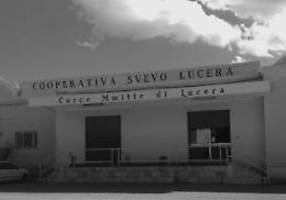Oggi, 29 marzo 1976, il Cacc'e Mmitt di Lucera diventa Doc