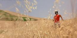 Oggi, 27 Aprile 1999, venendo a Foggia Ammaniti s'innamora del grano di Candela: nasce "Io non ho paura"