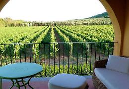 Oggi ricordiamo che nel 1968 i vini di San Severo diventano doc: sono i primi in Capitanata