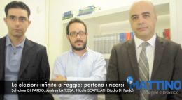 Votazioni a Foggia, partono i ricorsi del "mastino" Di Pardo. Il primo contro la Commissione elettorale (che ancora non proclama gli eletti)