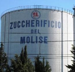 Chiusura zuccherificio di Termoli, Landella e Morese scrivono  al ministero delle Politiche Agricole ed alla Regione Puglia