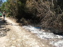 Le FOTO dell'operazione del CFS che ha portato all'arresto del piromane di Serracapriola