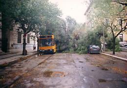 Oggi, 25 agosto del 1994, un tifone travolge Foggia e provincia: un morto e sessantacinque feriti. Sembrava l'Apocalisse