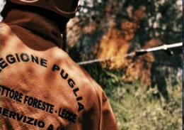 Assunzioni Arif: pioggia di esposti alla Procura della Repubblica