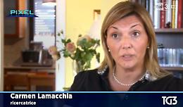 Su Pixel la scoperta all'Università di Foggia del glutine amico che aiuta i celiaci di tutto il mondo