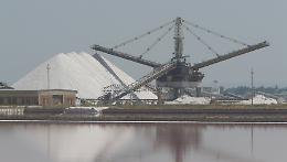 Oggi, 30 Maggio 1979, le saline di Margherita sono riconosciute zona umida di valore internazionale