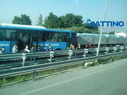 Le foto dell'incidente sulla SS 16 Foggia-Cerignola