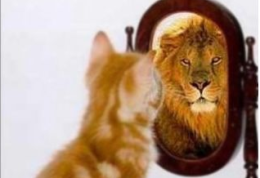 Quell'unica vita che ci dà l'opportunità di essere diversi