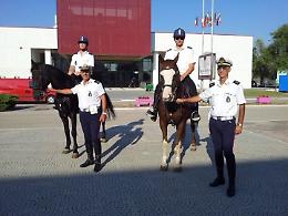 Foggia, i Vigili "stalloni" arrivano anche in città
