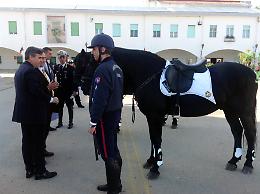 E Landella schiera i Vigili a cavallo