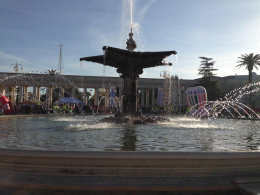 La "Foggia City Half Marathon"... E quella città che fa fatica a svegliarsi