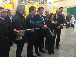 Colomba Mongiello inaugura "Olio Capitale" a Trieste: «Serve un piano olivicolo nazionale»
