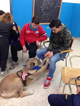In partenza anche nelle scuole di Foggia la campagna "Anpana" per la lotta al randagismo 