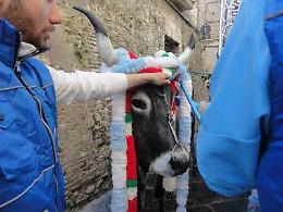 Chieuti, ai nastri di partenza il Palio di San Giorgio 2015