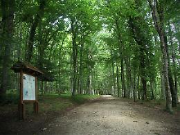 Turismo green? Si può, Aforis ci spiega come