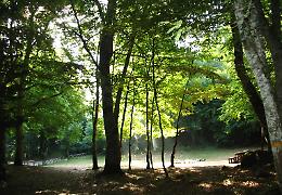 Incontro finale del corso "Guide esclusive del Parco Nazionale del Gargano"