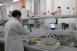 UniFg, al via il nuovo percorso formativo sulla “bioeconomia”