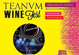 Teanum Wine Fest: il 3 luglio Rock'n Dance con i Wildcar