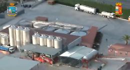 Truffe milionari sui fondi europei in agricoltura, condannati 4 imprenditori con base operativa in provincia di Foggia