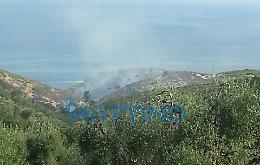 Peschici, una notte di fuoco devasta la baia di Zaiana