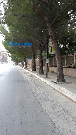 Foggia, quel percorso di guerra in Via Napoli alla fermata dell'Ataf