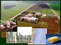 Furto al CRA:  rubati nella notte 1500 litri di gasolio agricolo