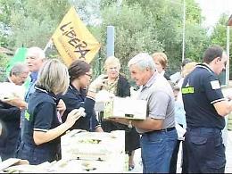 Ma quant'è buona l'uva raccolta dai campi sequestrati alla Mala
